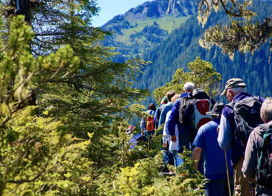 Group of Hikers on Rainforest Trail