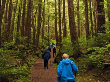 Hikers on Southeast Alaska Trail